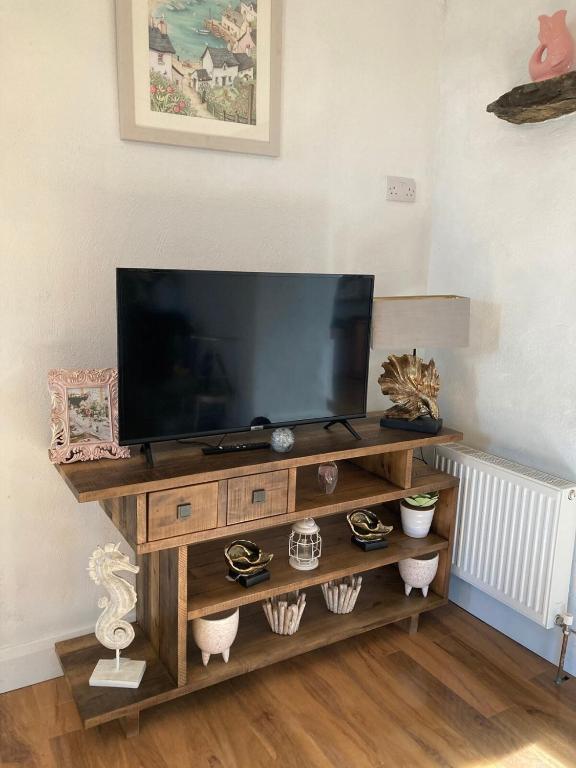 TV a/nebo společenská místnost v ubytování Holland House No1