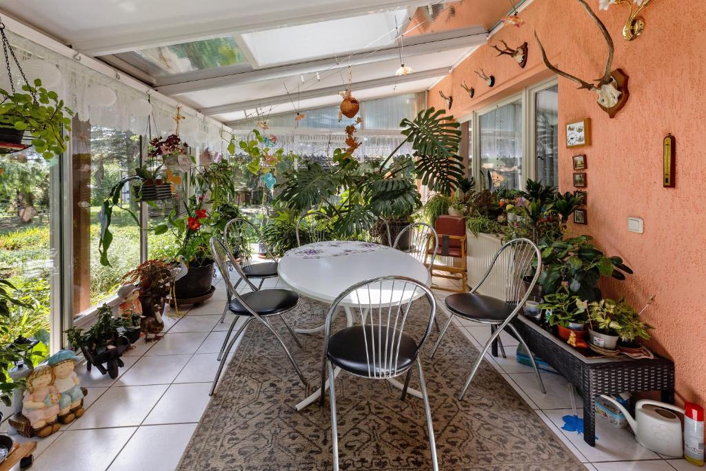 a greenhouse with a table and chairs and plants at Ferienwohnung im Burgenland in Schleberoda