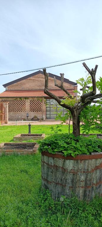 Zahrada ubytování B&B Rocambola