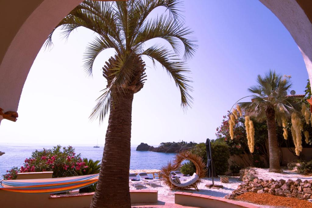 un palmier sur une plage avec l'océan dans l'établissement Villa de prestige en bord de mer dans la baie de Cannes, à Théoule-sur-Mer