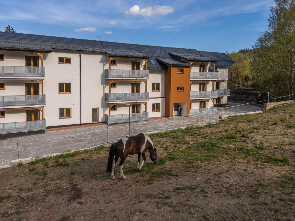 Zvířata v apartmánu nebo okolí