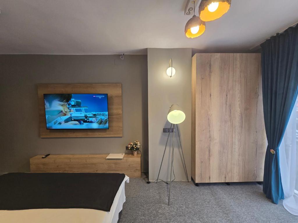TV a/nebo společenská místnost v ubytování CASA FLORESCU