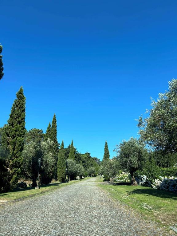 uma estrada num parque com rvores e um cu azul em Hotel Urgeirica em Nelas