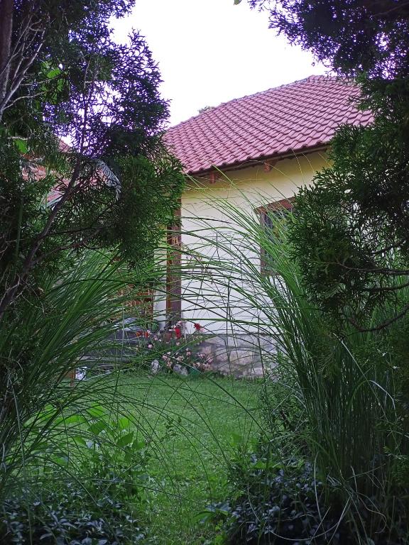 Zahrada ubytování Apartman Marković