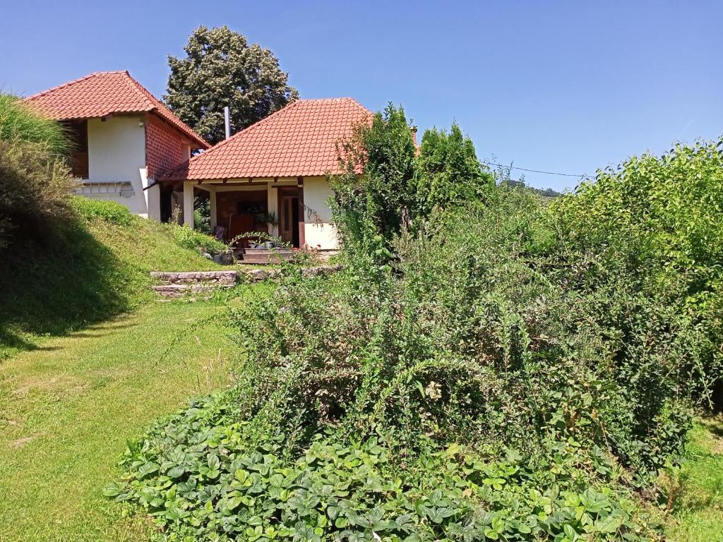 Zahrada ubytování Apartman Marković
