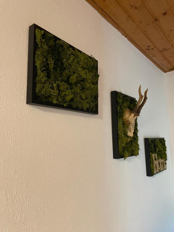 Fotografie z fotogalerie ubytování Ferienwohnung MaLi v destinaci Arrach