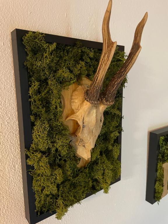 Fotografie z fotogalerie ubytování Ferienwohnung MaLi v destinaci Arrach