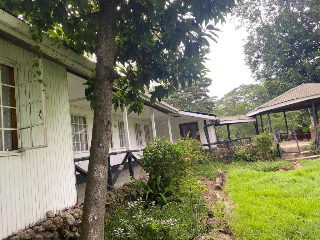 a house with a tree in the yard at My Lily Cottage Naivasha in Naivasha
