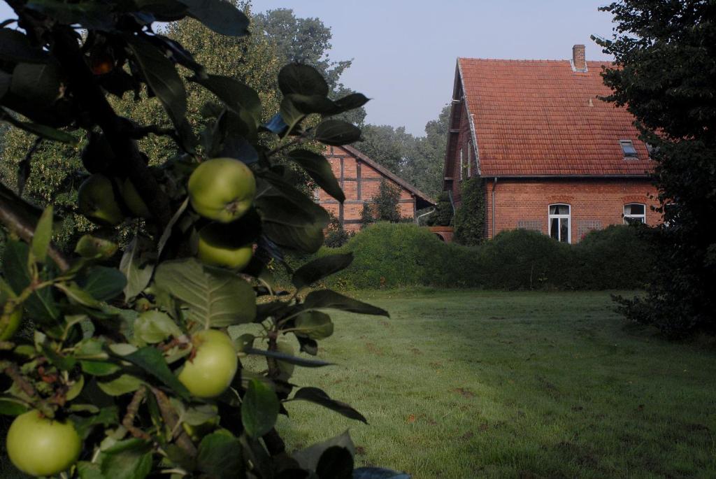 an apple tree in front of a house at Adelheidshof in Magelsen