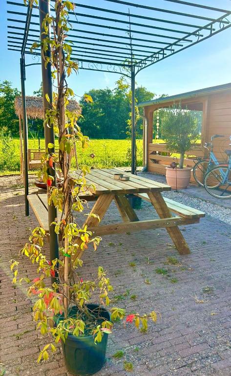 Zahrada ubytování Mediterranean style chalet with jacuzzi and garden near Amsterdam