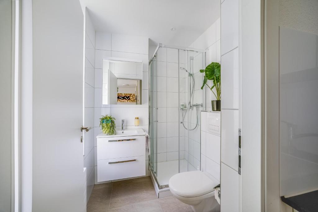 HRE Apartments St Gallen City Center - Resim 15