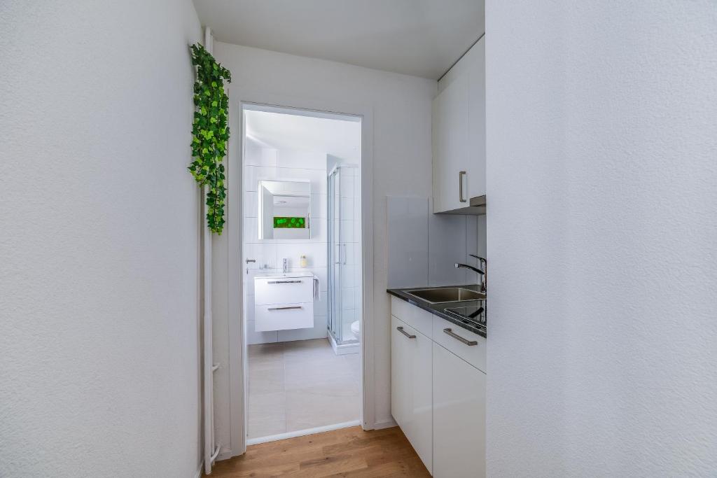 HRE Apartments St Gallen City Center - Resim 24