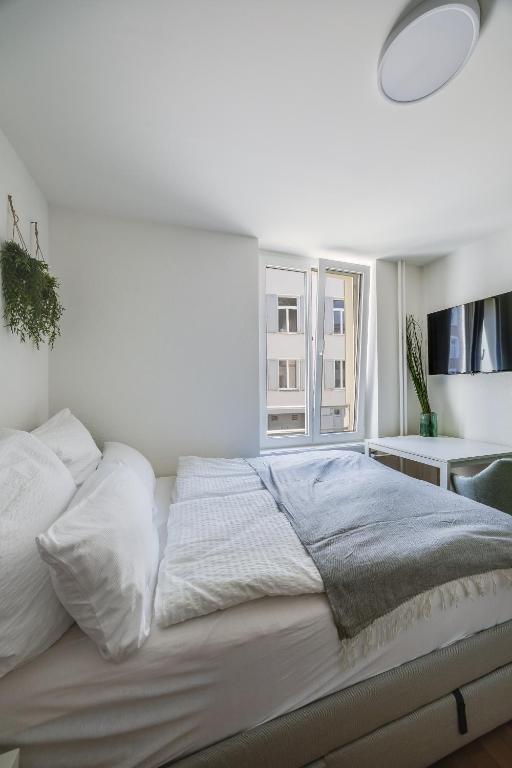 HRE Apartments St Gallen City Center - Resim 10