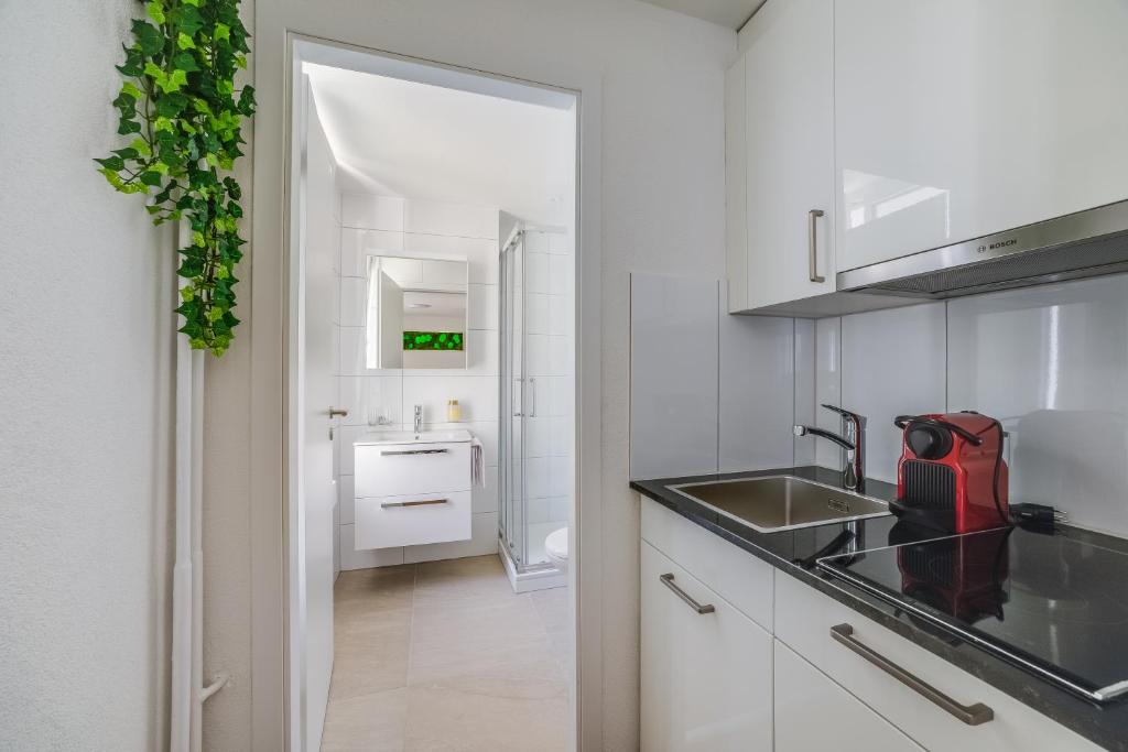 HRE Apartments St Gallen City Center - Resim 26