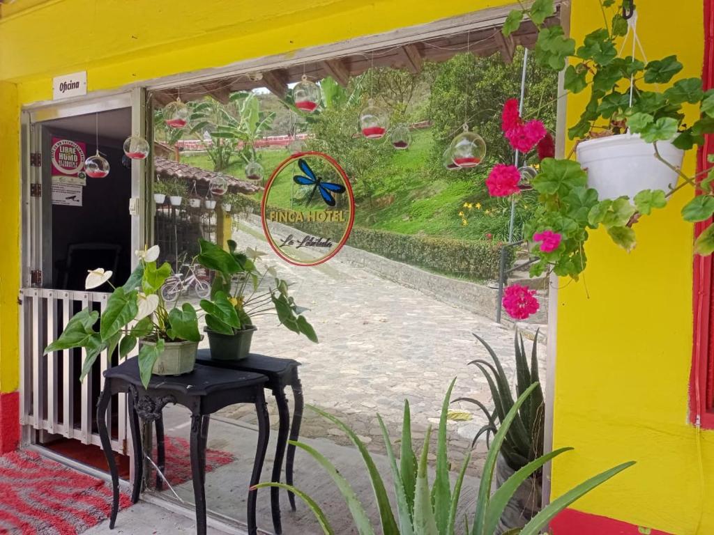 Zahrada ubytování Libélula finca-hotel