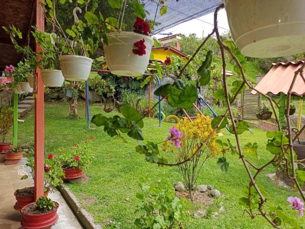 Zahrada ubytování Libélula finca-hotel