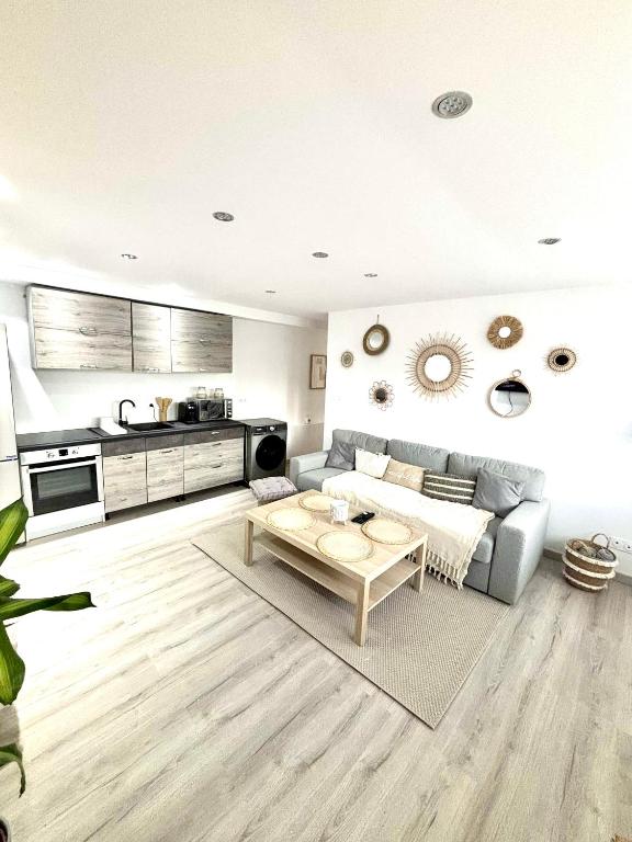 un salon avec un canapé et une table dans l'établissement Appartement centre ville, à Dijon