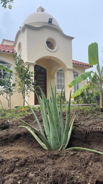 Zahrada ubytování Villa Leopolds