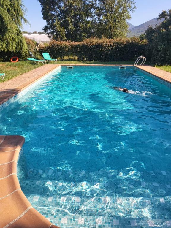 Bazén v ubytování HOTEL PASTERAL RIU TER nebo v jeho okolí