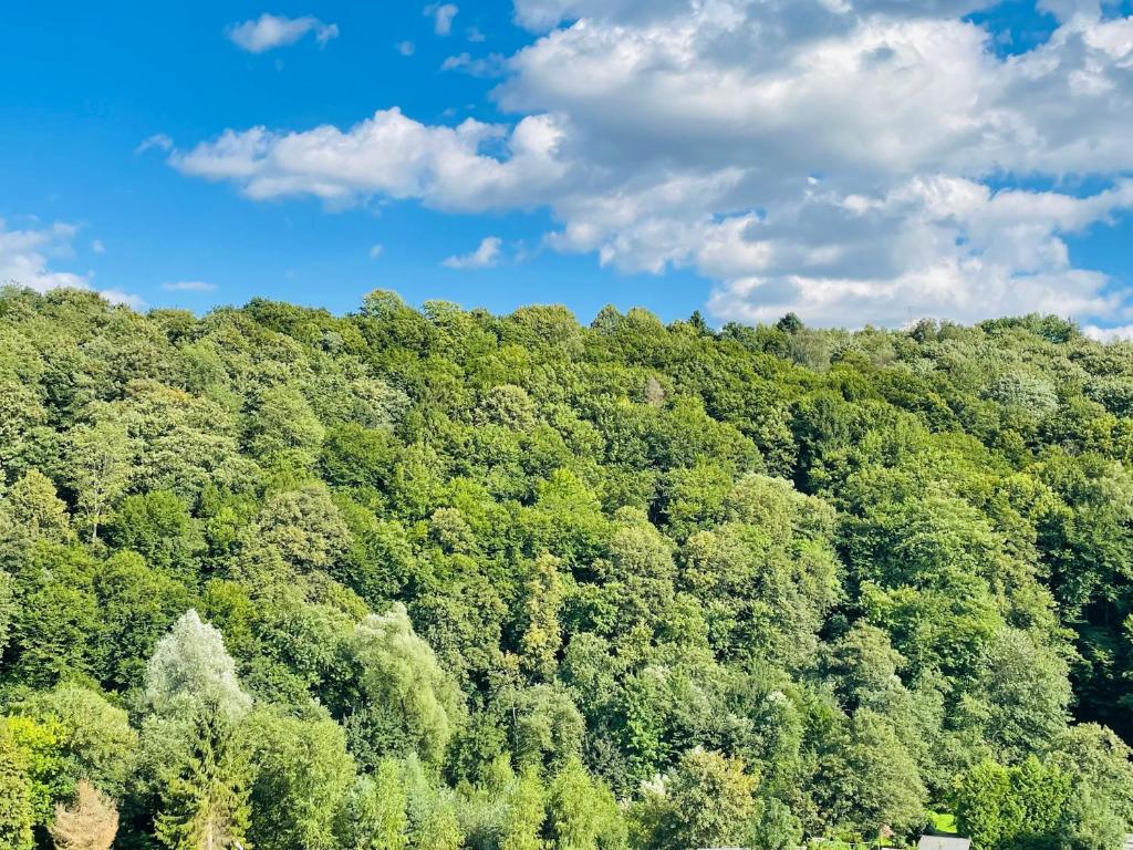 Ảnh trong thư viện ảnh của Willa Solina ở Solina