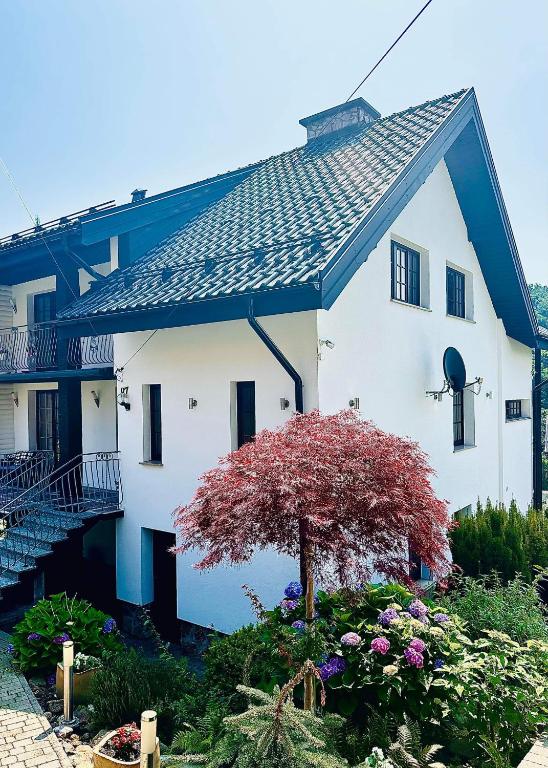 a white house with a red tree in front of it at Willa Solina in Solina