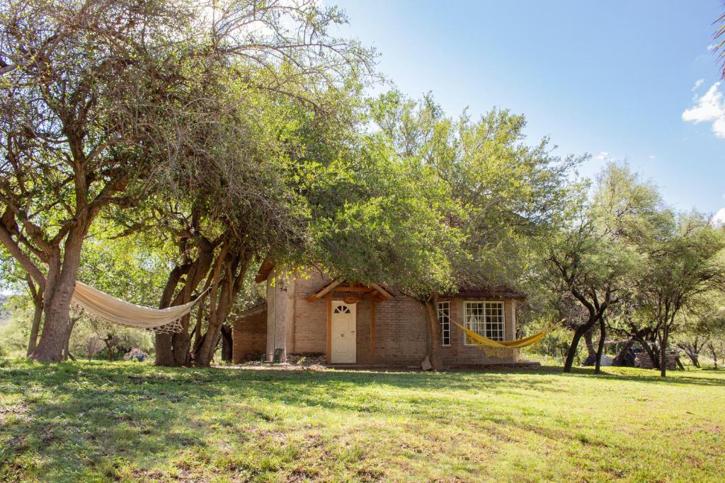 a house with a hammock in a field next to trees at Cabañas El Duende in Quines