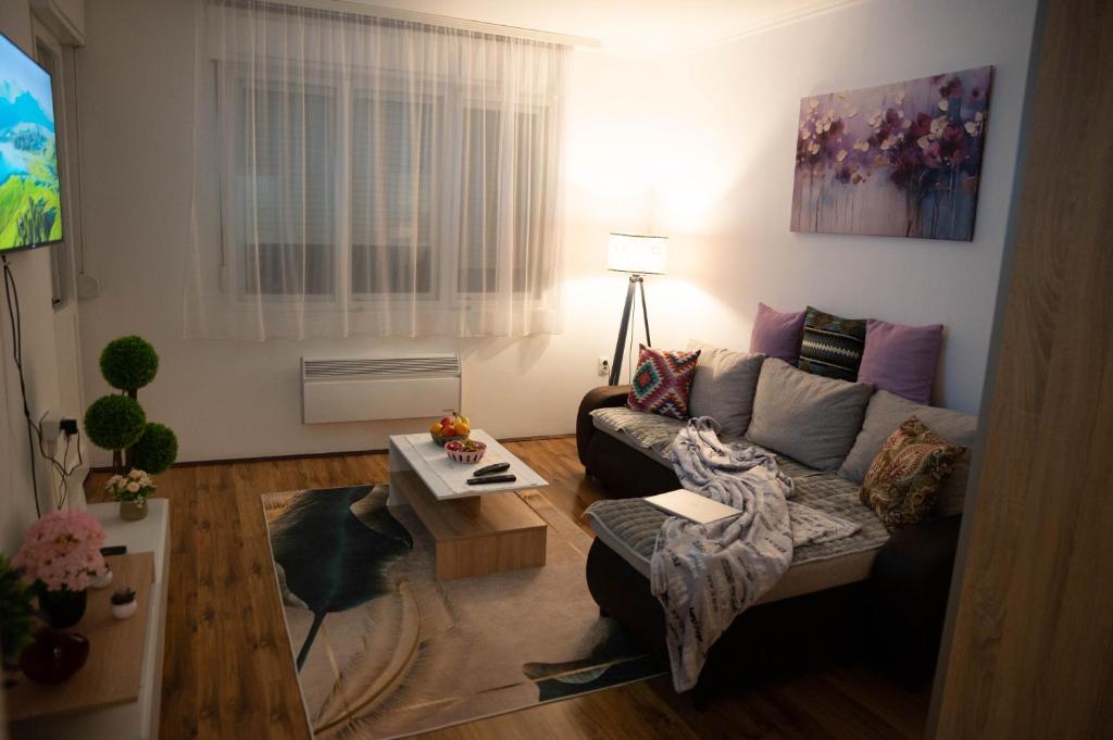 TV a/nebo společenská místnost v ubytování NadaHome - with fast WiFi and free parking