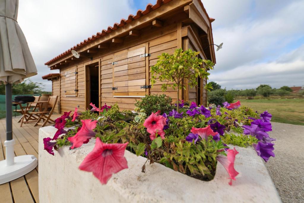 Renovated Wine Press House - WITH POOL - Vakantiehuis