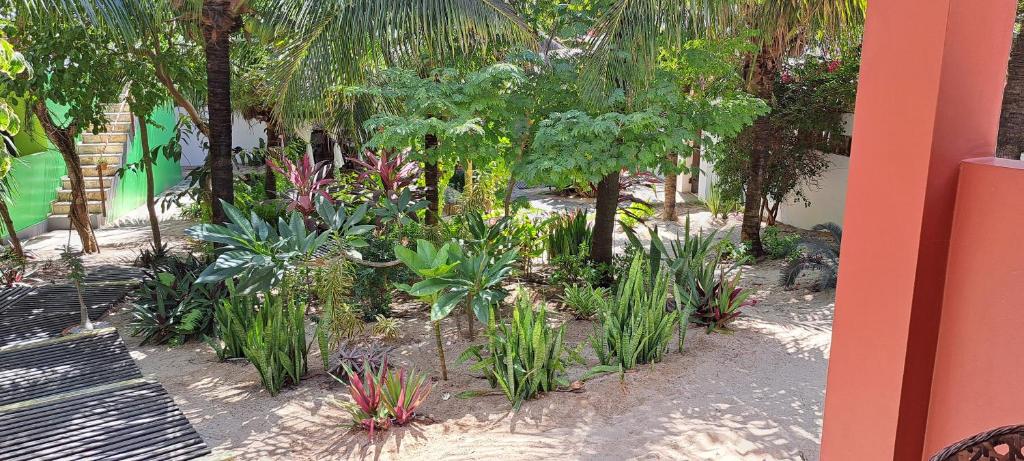 a garden with plants and trees and a bench at Pousada Lotus in Prea