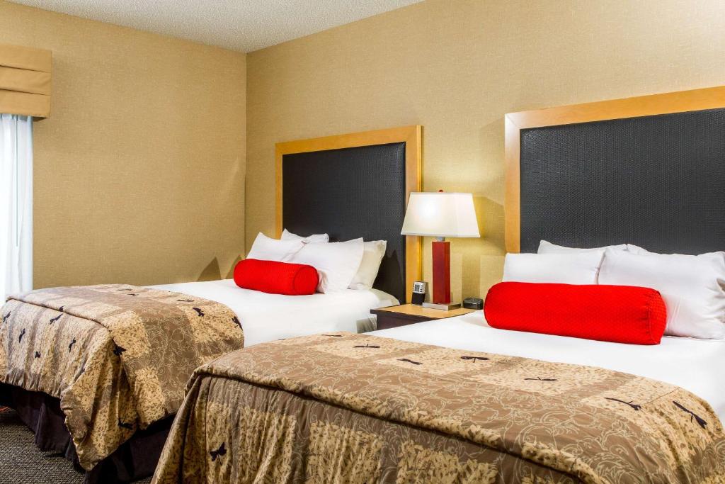 Cambria Hotel Raleigh-Durham Airport - Suite Queen Avec Deux Lits Queen - Non-fumeurs