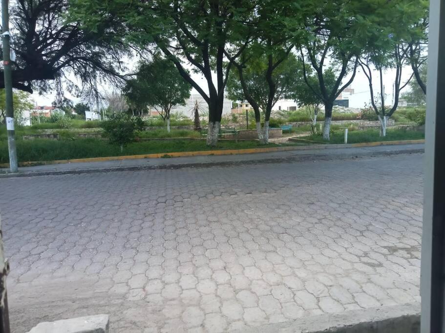 an empty street with trees in the background at Departamento con entrada independiente in Tehuacán