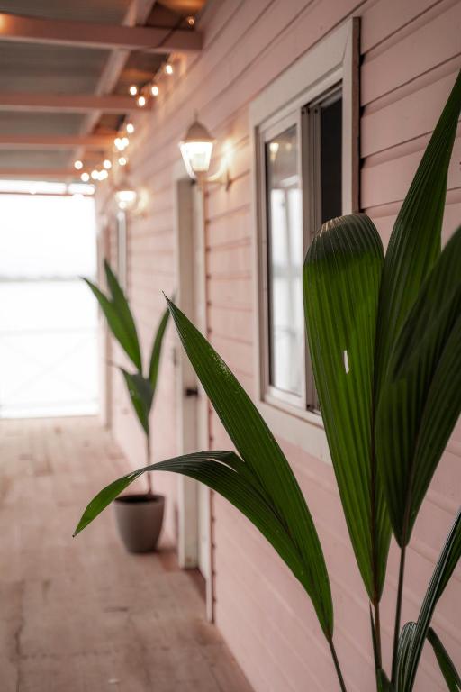 Fotografie z fotogalerie ubytování La Caribena Beach House- Bocas del Toro, Isla Colón, Panamá v destinaci Big Creek