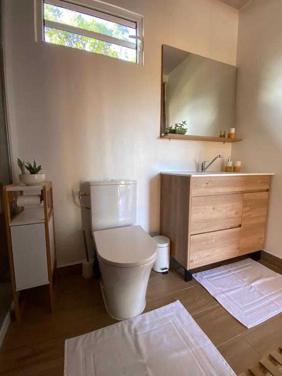 a bathroom with a toilet and a sink and a mirror at Fare Maraea in Moorea