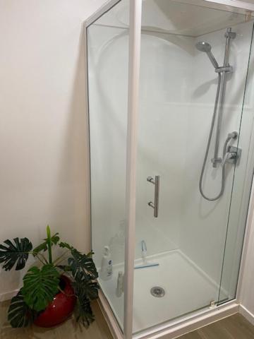 Paihia on the Rise - Resim 5