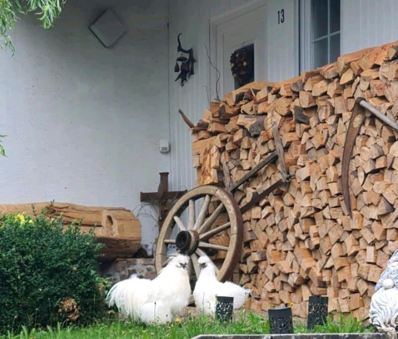 two white animals sitting next to a wooden wheel at Cozy and quite apartment near Black Forest in Schömberg