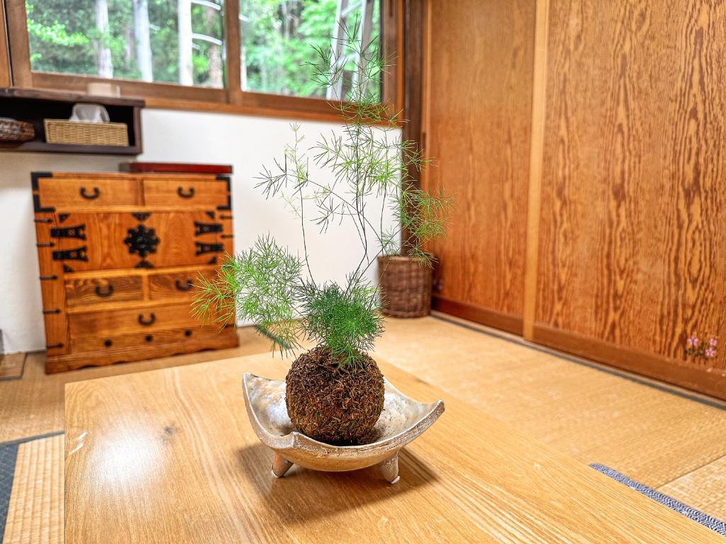 Fotografie z fotogalerie ubytování Koguma no ie v destinaci Nozawa Onsen