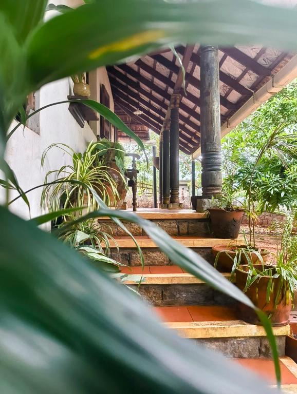 a group of stairs with plants in front of a building at Svarna in Udupi