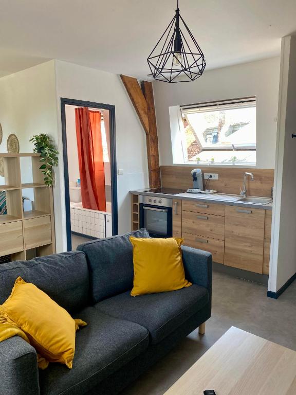 un salon avec un canapé et une cuisine dans l'établissement L'écrin du général, à Armentières