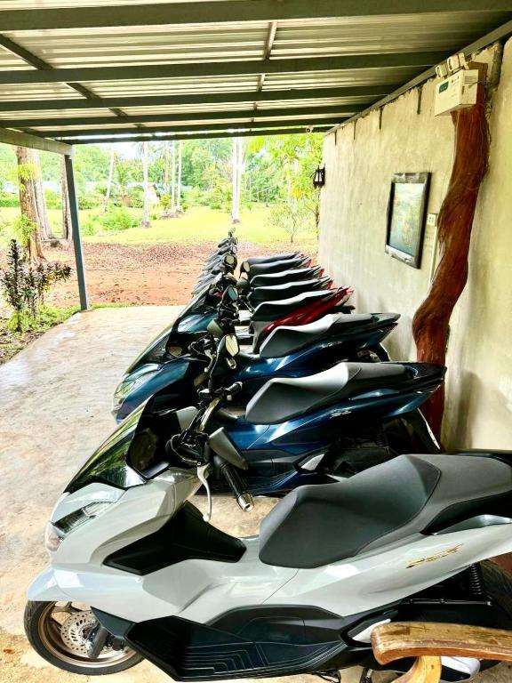 Fine Times Resort - 16