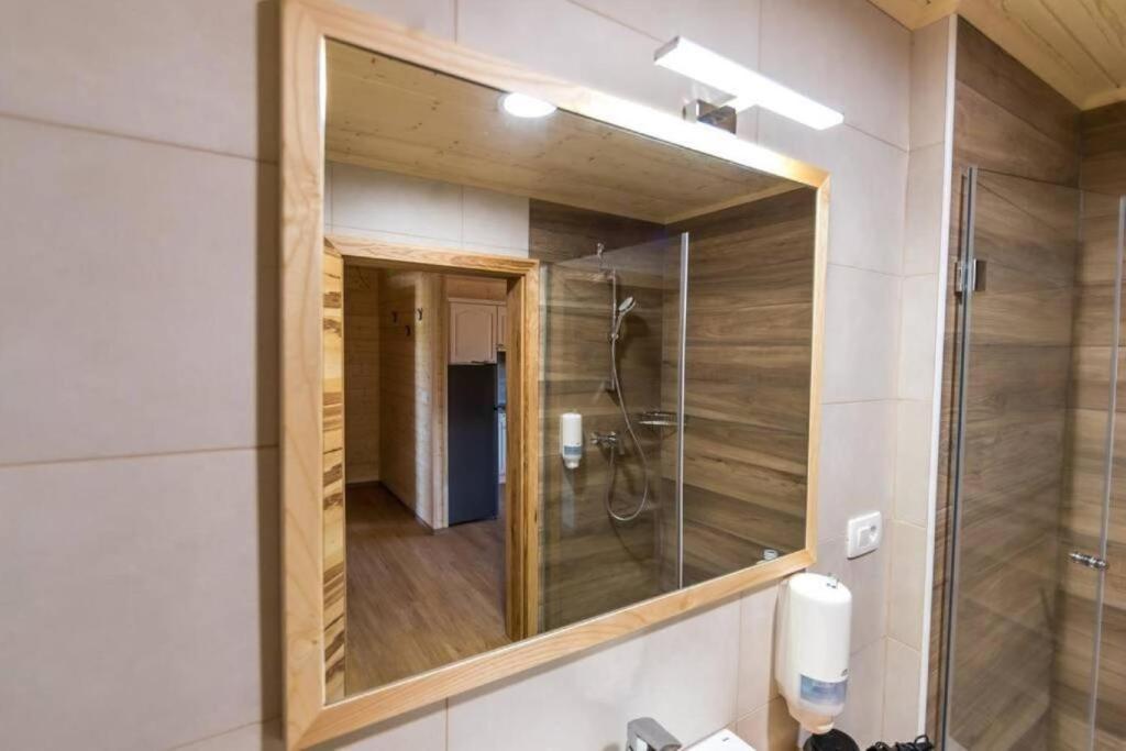 Koupelna v ubytování Apartmaji na kozolcu - Smogavc