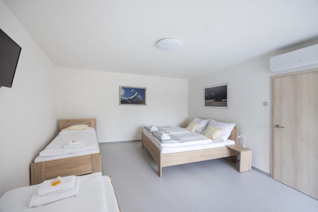 Tempat tidur dalam kamar di A studio Veselka Litomyšl