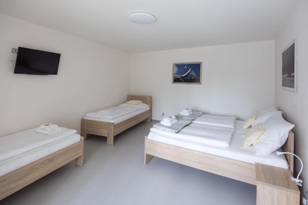 Tempat tidur dalam kamar di A studio Veselka Litomyšl