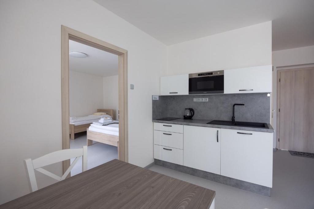 Dapur atau dapur kecil di A studio Veselka Litomyšl