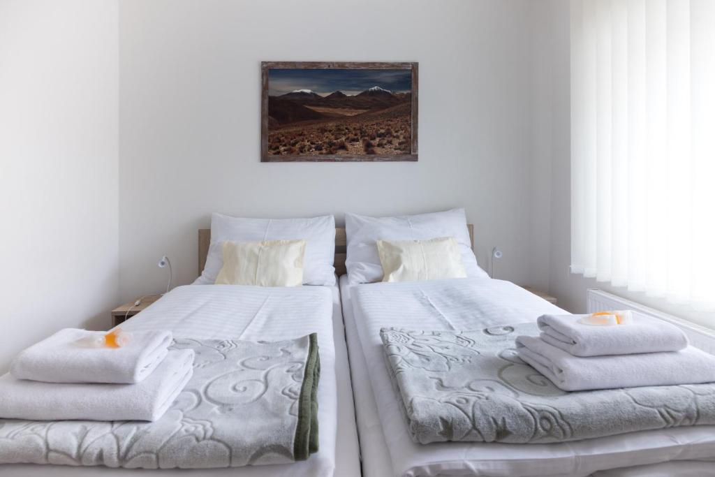 Tempat tidur dalam kamar di A studio Veselka Litomyšl