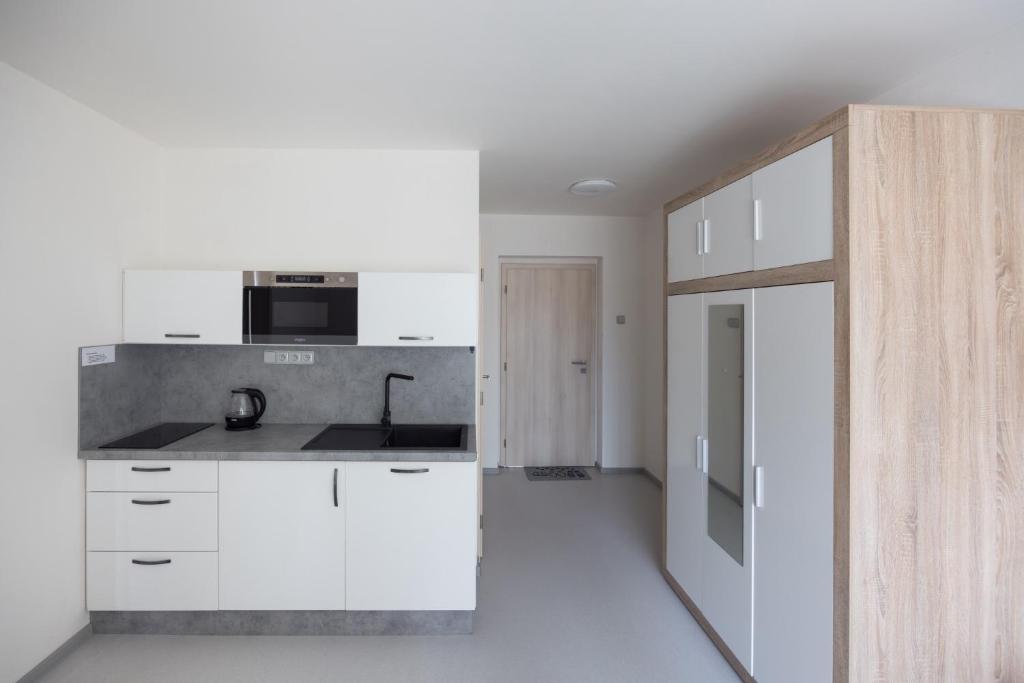 Dapur atau dapur kecil di A studio Veselka Litomyšl