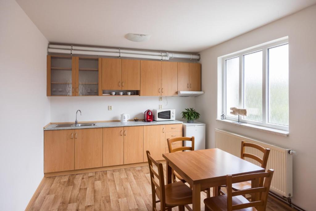 Dapur atau dapur kecil di A studio Veselka Litomyšl