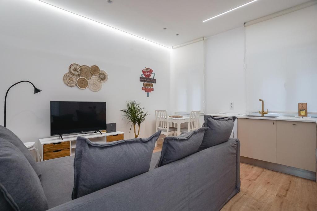 Hotel Cozy and Modern-1Bedroom 1Bathroom-Delicias, a living room with a gray couch and a tv at Cozy and Modern-1Bedroom 1Bathroom-Delicias in Madrid