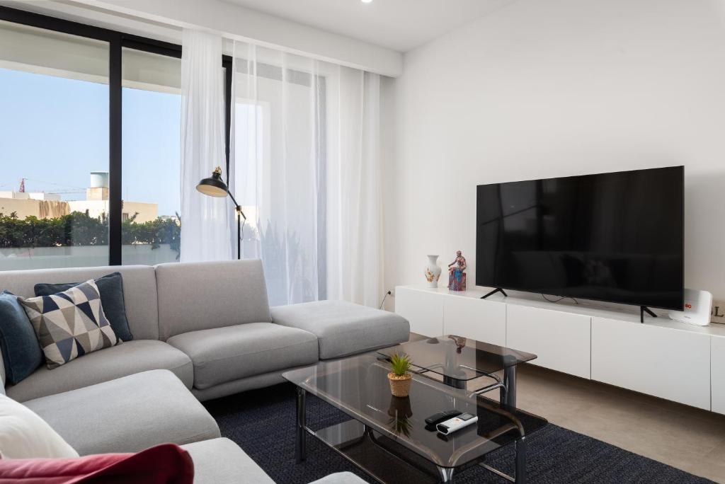 TV a/nebo společenská místnost v ubytování Modern 1BR Spacious Apartment with Terrace - Close to St Thomas Bay