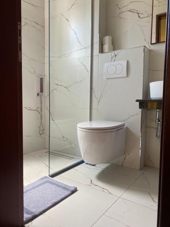 a bathroom with a toilet and a glass shower at Hotel Afrodite in Dhërmi
