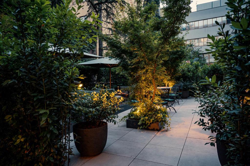 Zahrada ubytování Hotel Internazionale
